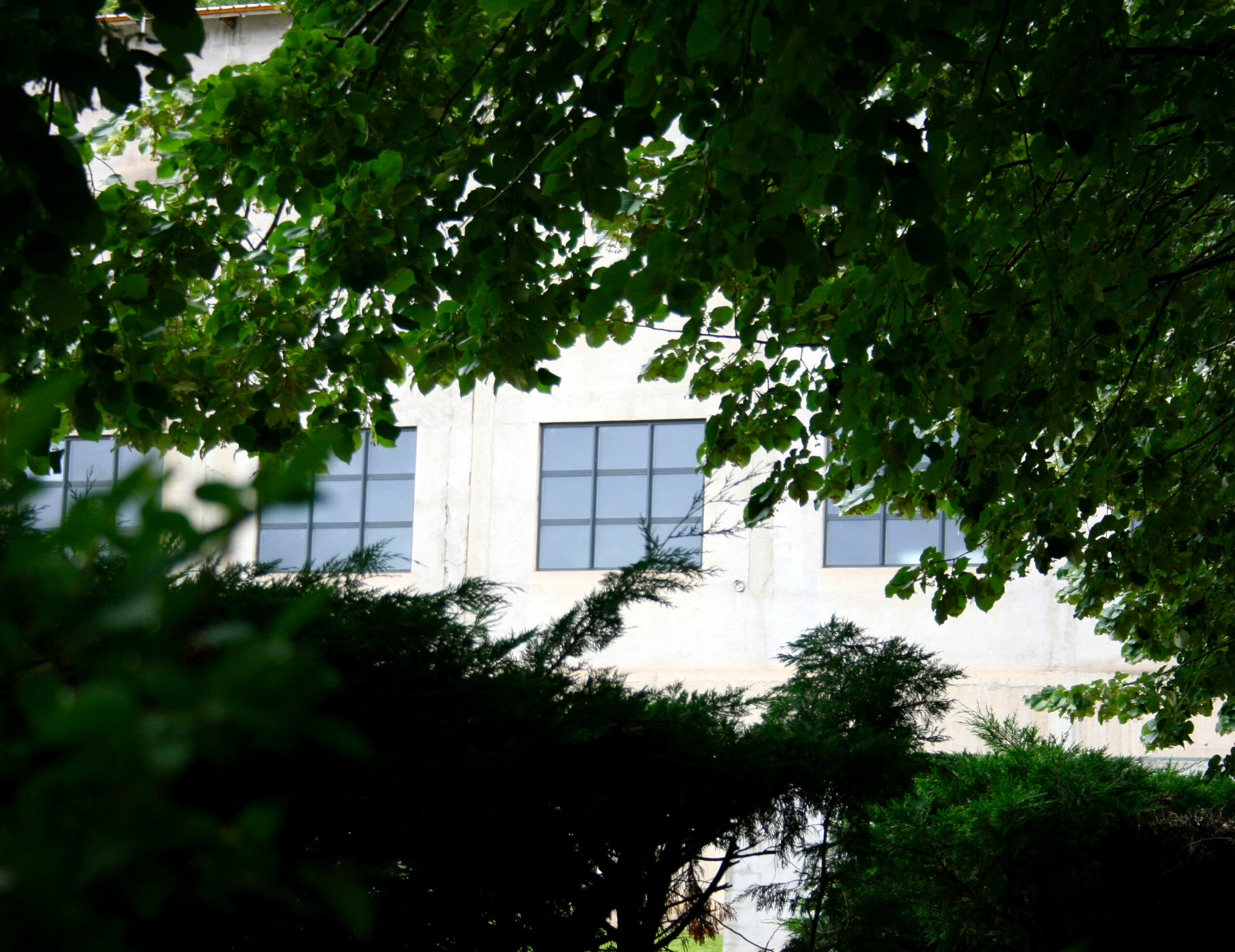 Bureaux permanents tilleuls